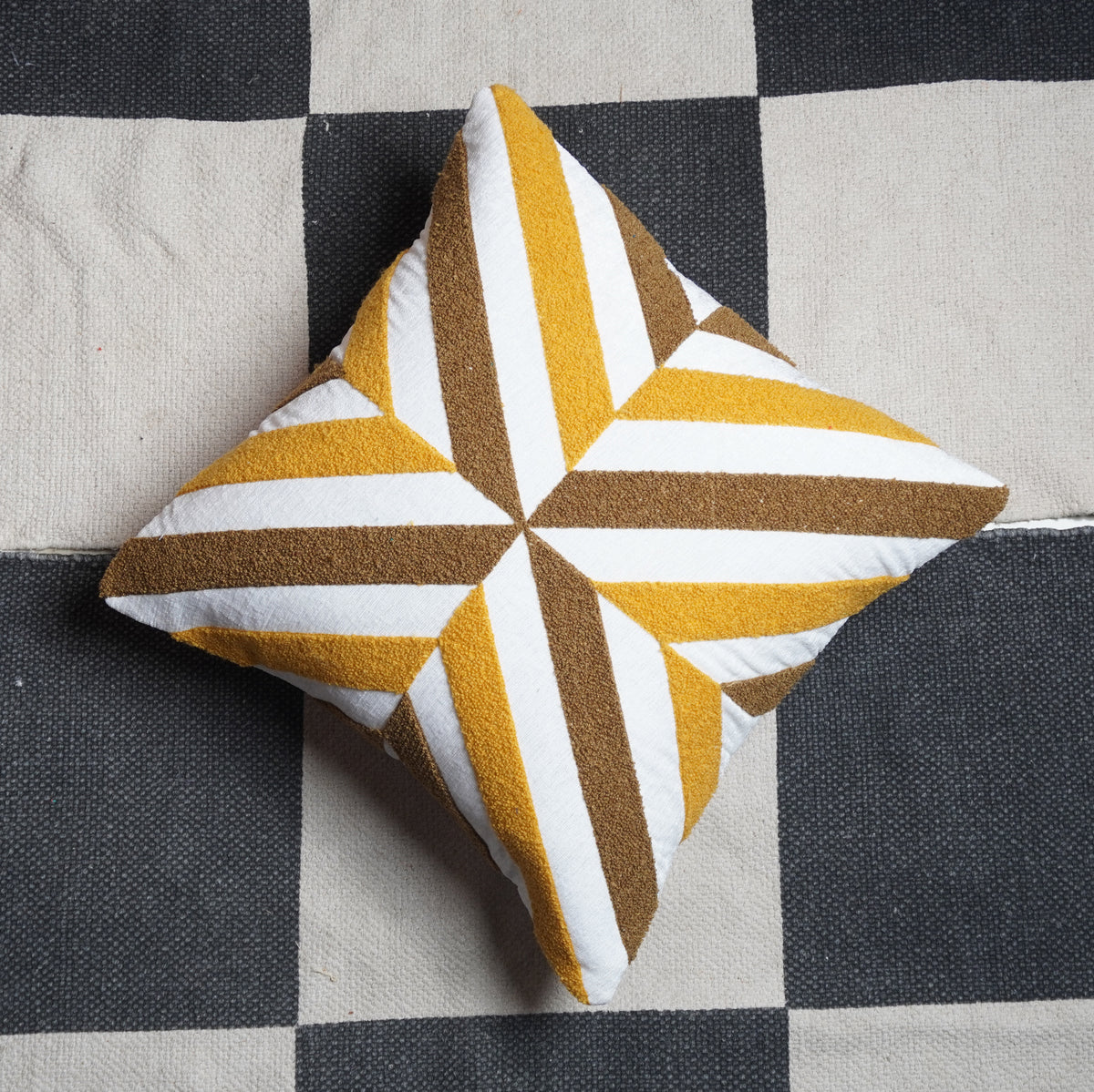 Earthy Palette Cushion5