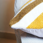 Earthy Palette Cushion5