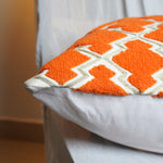 Tiger Shade Slateyborder Cushion 15